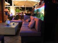 Hawaii Bar Puerto Rico Gran Canaria Hawaii Bar Puerto Rico Gran Canaria