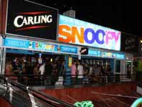 Snoopys Bar Puerto Rico Gran Canaria Snoopys Bar Puerto Rico Gran Canaria